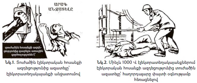 Ներմուծեք նկարագրությունը_22772