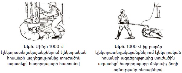 Ներմուծեք նկարագրությունը_22774