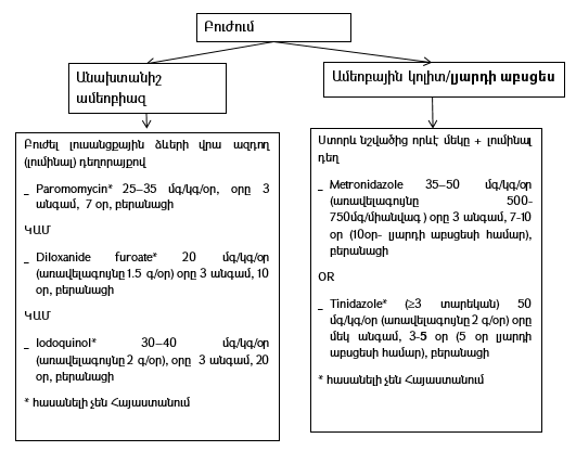 Ներմուծեք նկարագրությունը_23963